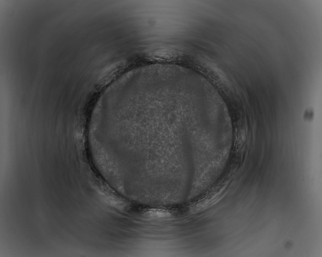 X0000101090749200807171847