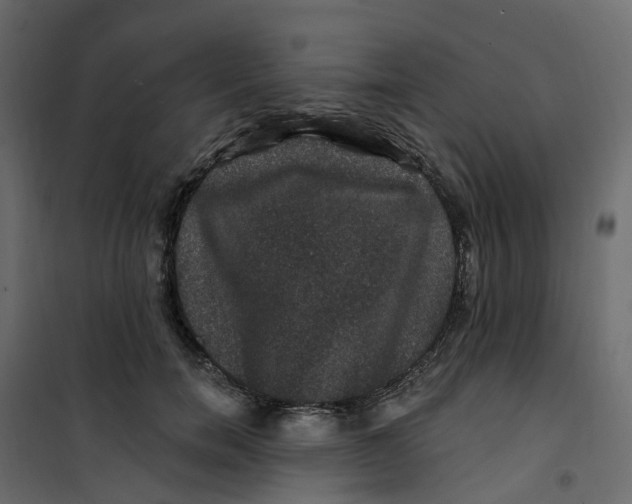 X0000101090750200807171847