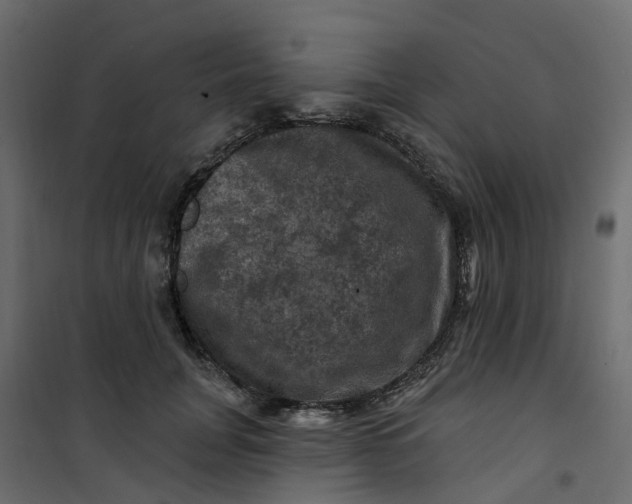 X0000101090751200807171847