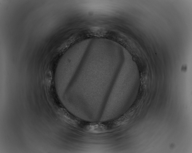 X0000101090752200807171847