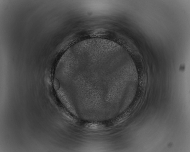 X0000101090755200807171847