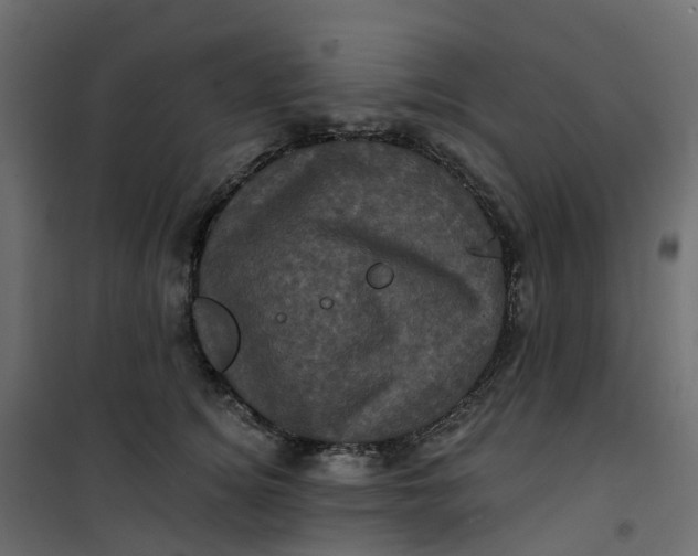 X0000101090756200807171847