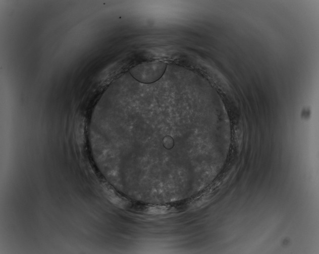 X0000101090757200807171847