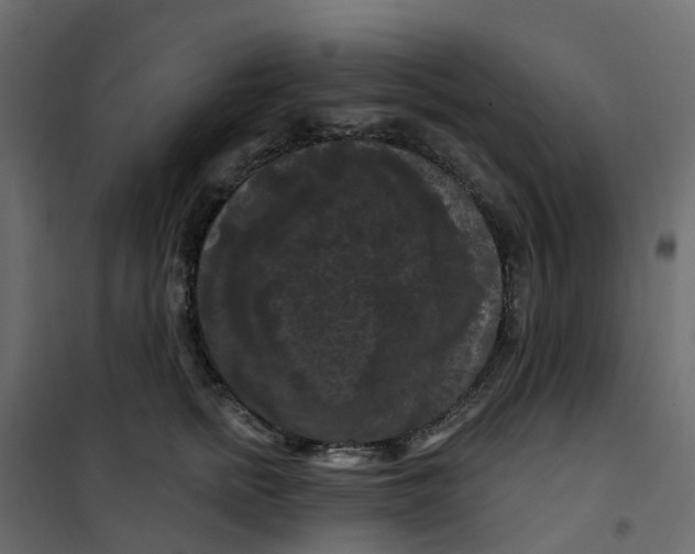 X0000101090758200807171847