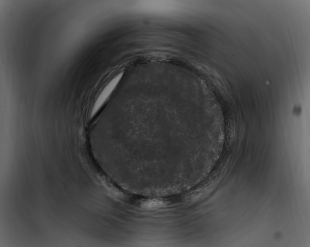 X0000101090759200807171847