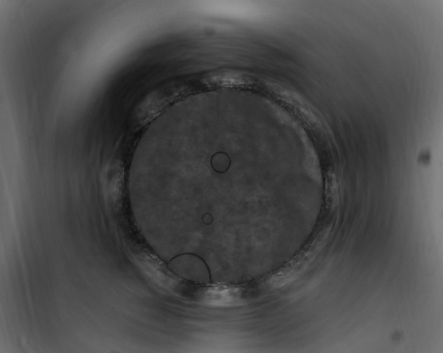 X0000101090760200807171847