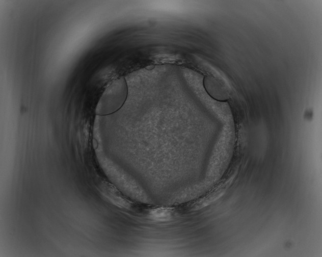 X0000101090761200807171847