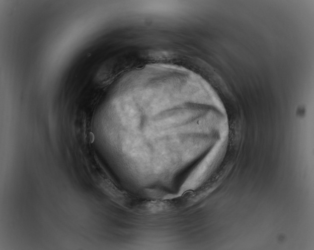 X0000101090762200807171847