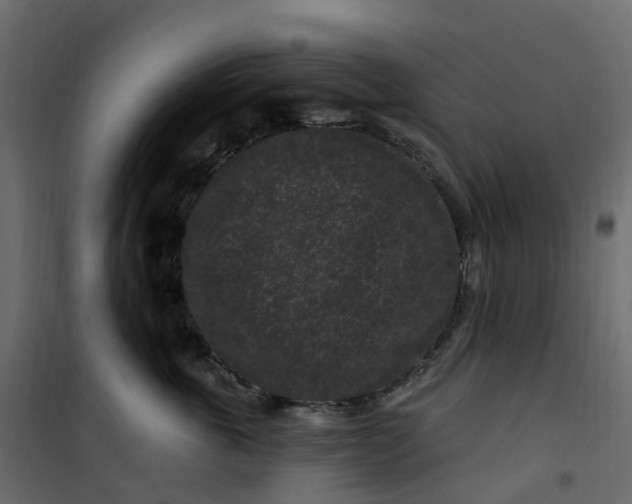 X0000101090763200807171847