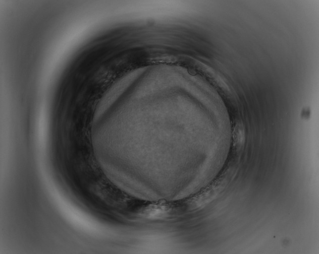 X0000101090764200807171847