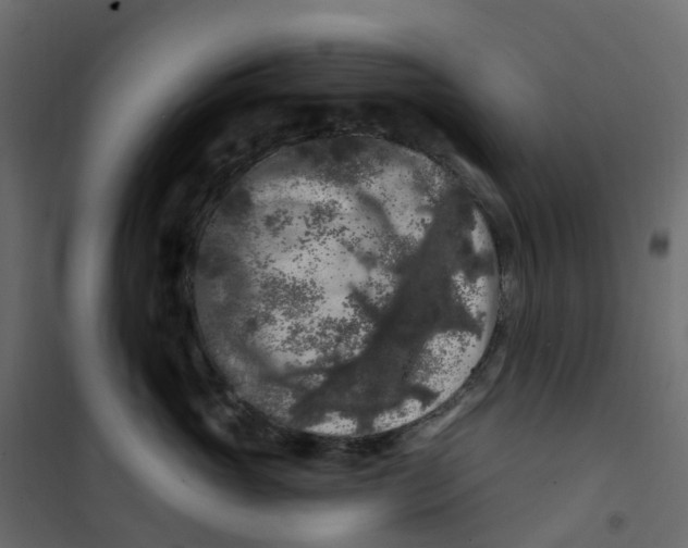 X0000101090765200807171848