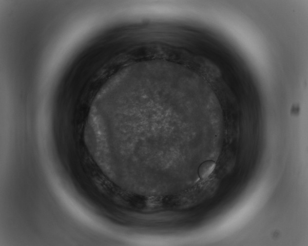 X0000101090766200807171848