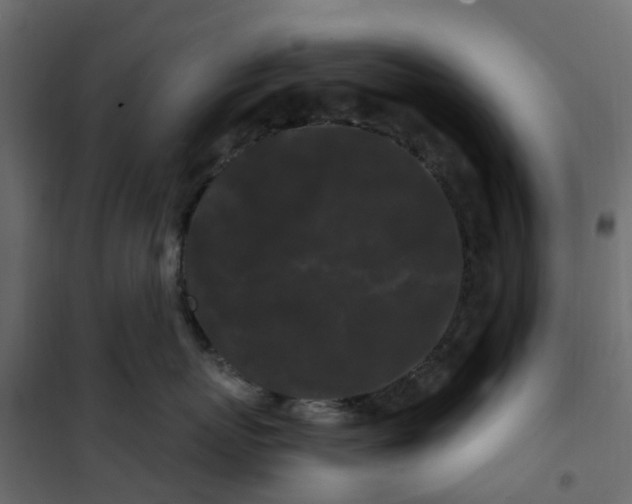 X0000101090767200807171848