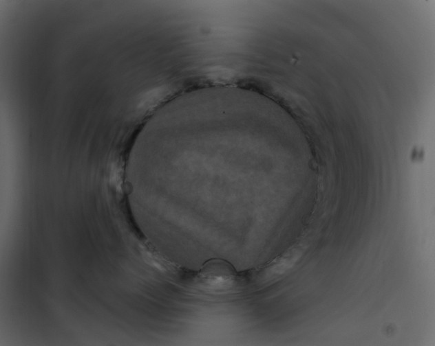 X0000101090768200807171848