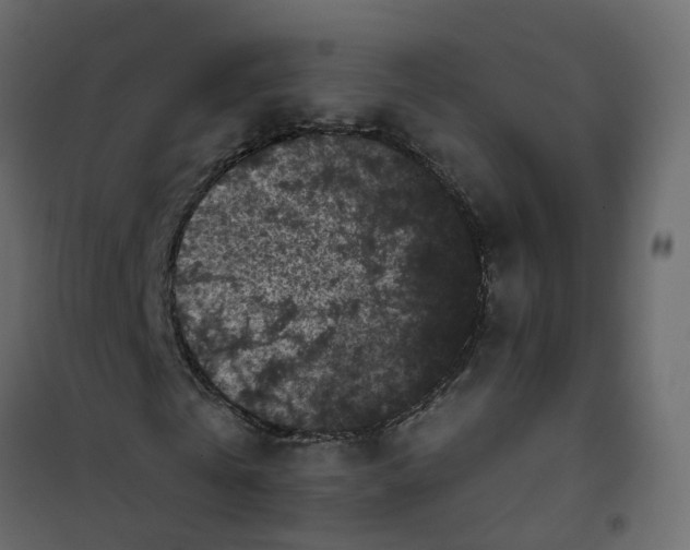 X0000101090769200807171847