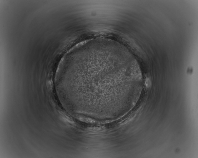 X0000101090771200807171847