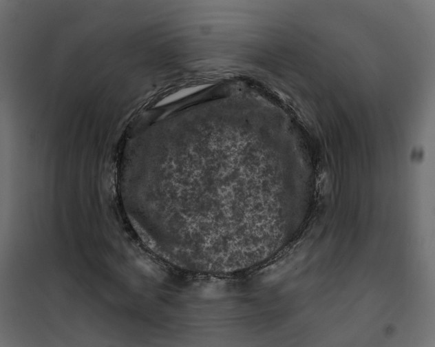 X0000101090772200807171847