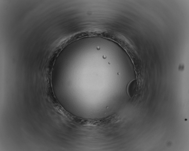 X0000101090773200807171847