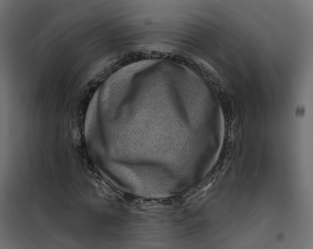 X0000101090774200807171847