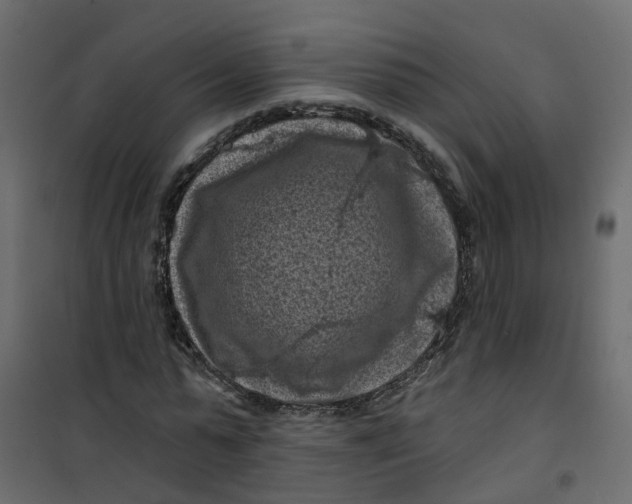 X0000101090775200807171847