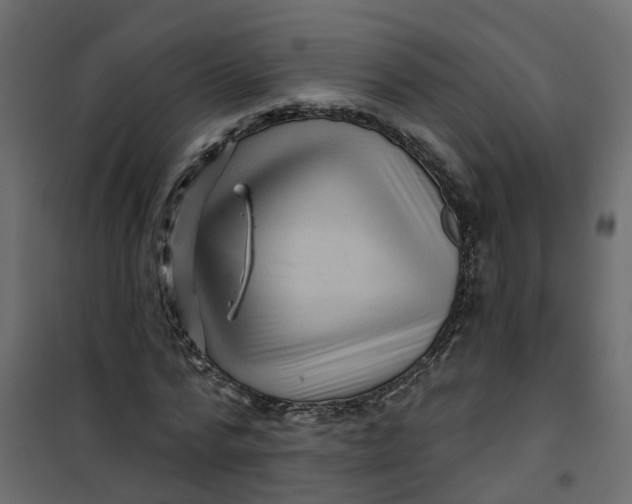 X0000101090776200807171847