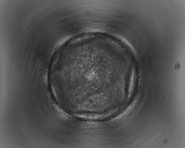 X0000101090777200807171847