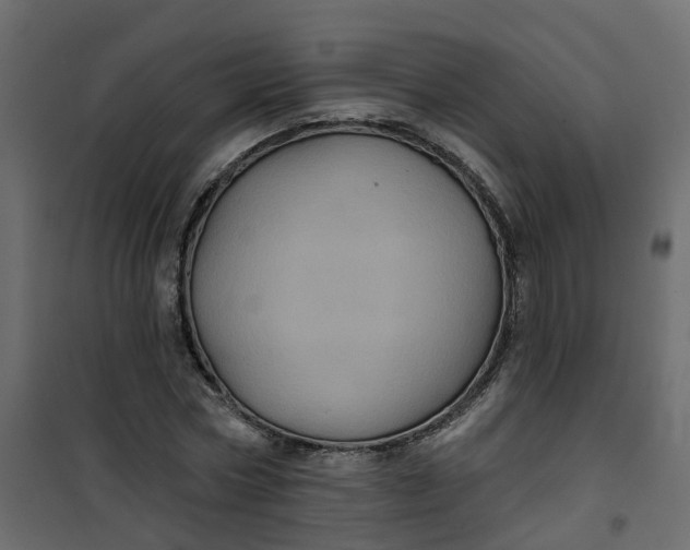 X0000101090778200807171847