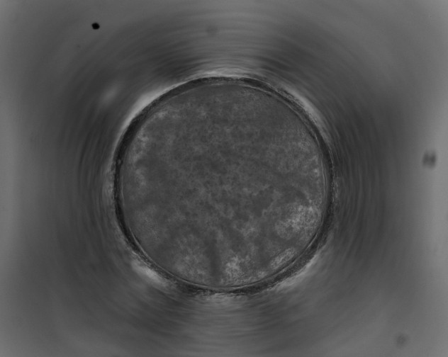 X0000101090779200807171847