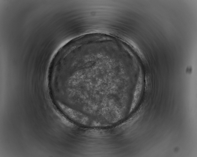 X0000101090780200807171847