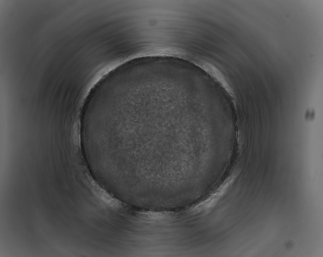 X0000101090781200807171847