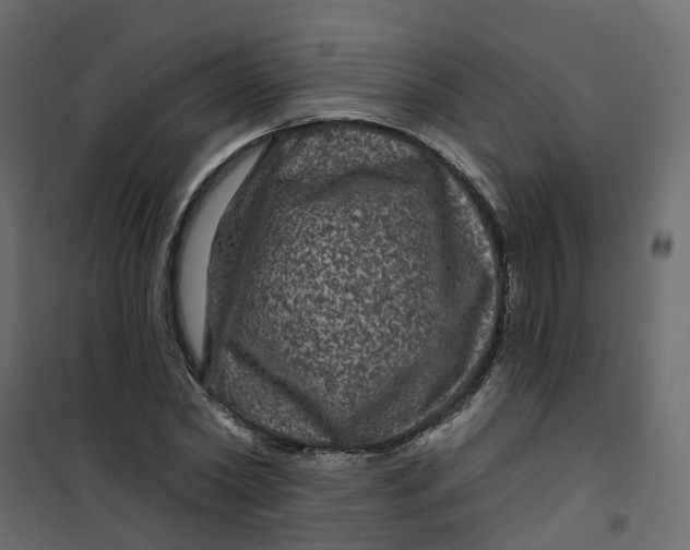 X0000101090782200807171847