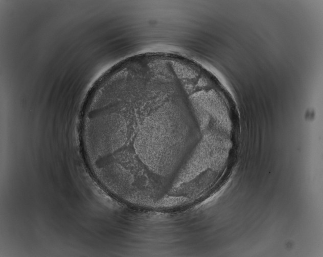 X0000101090783200807171847