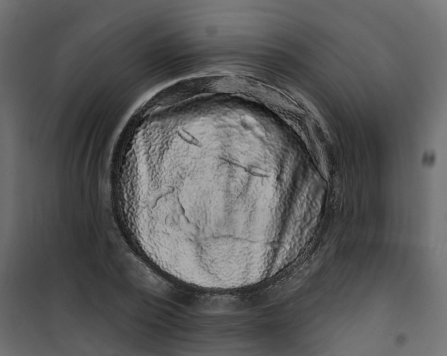 X0000101090784200807171846