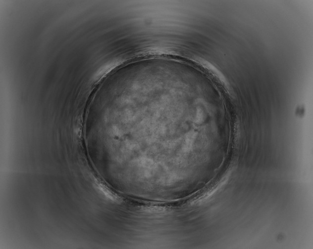 X0000101090785200807171846