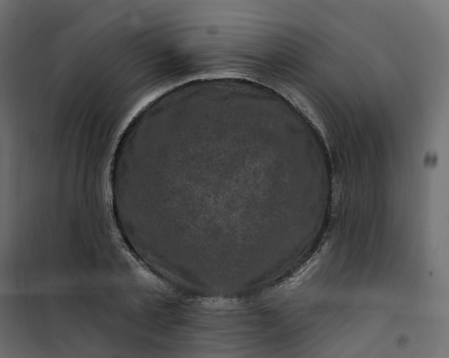 X0000101090789200807171846