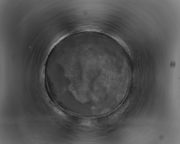 X0000101090790200807171846