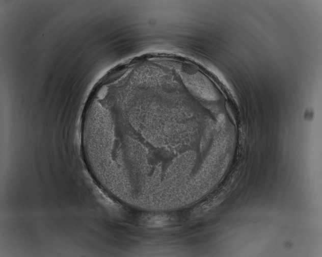 X0000101090791200807171846