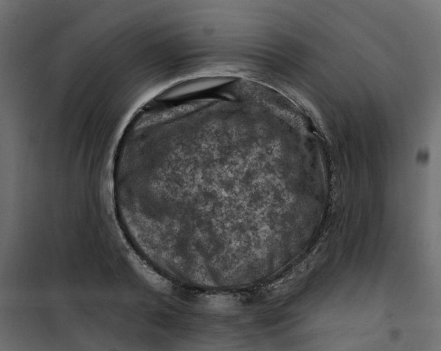 X0000101090792200807171846