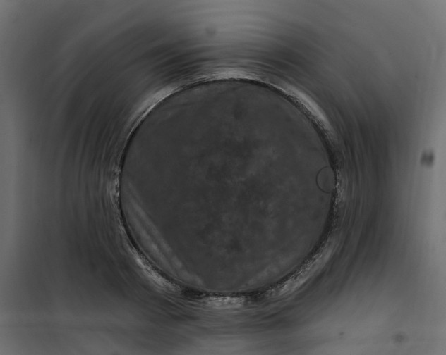 X0000101090793200807171846