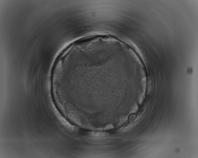 X0000101090795200807171846