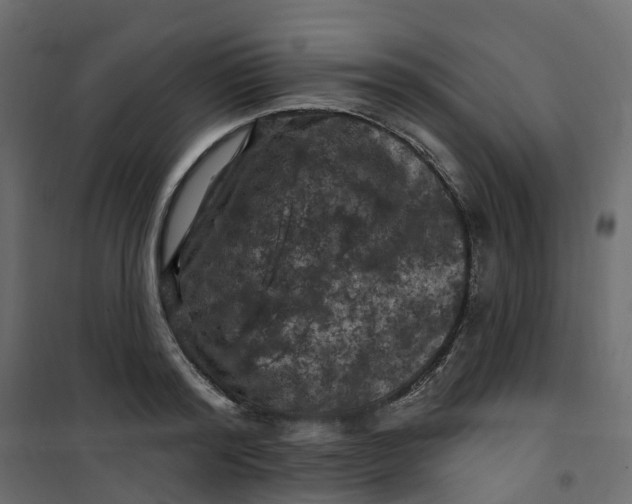 X0000101090796200807171846