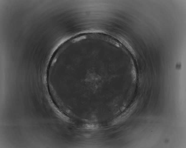 X0000101090797200807171846