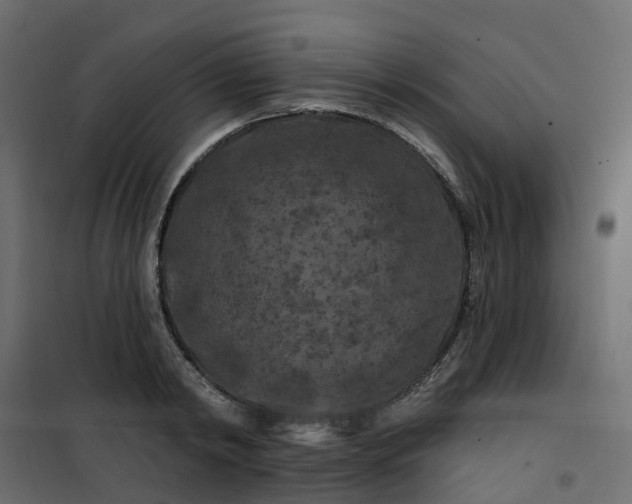 X0000101090798200807171846