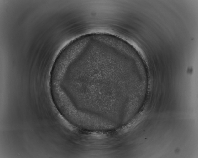 X0000101090799200807171846