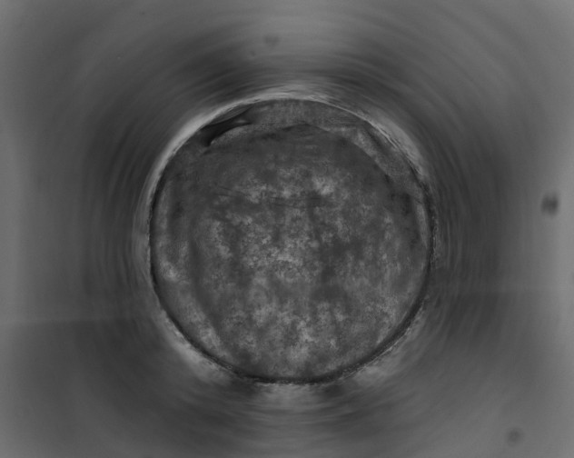 X0000101090800200807171846