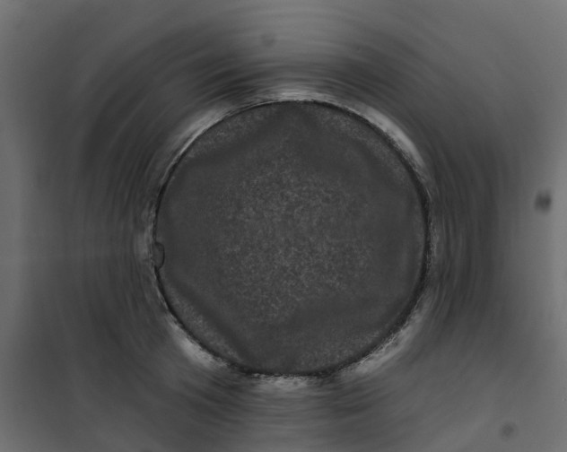 X0000101090801200807171846