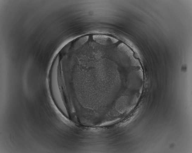 X0000101090803200807171846