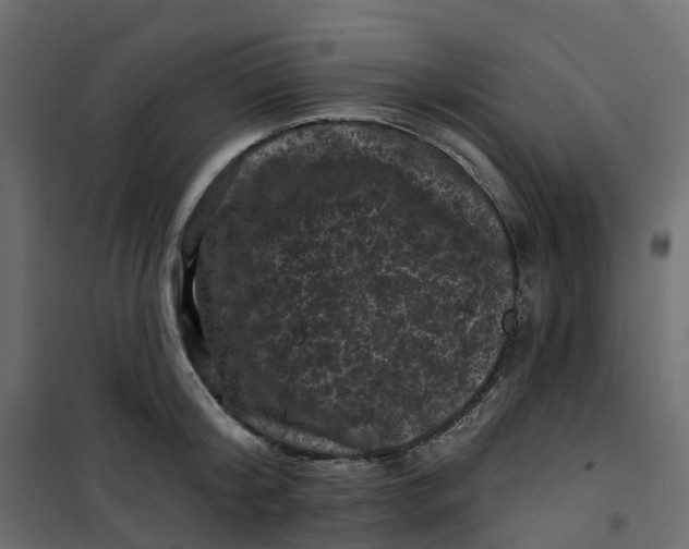 X0000101090804200807171846