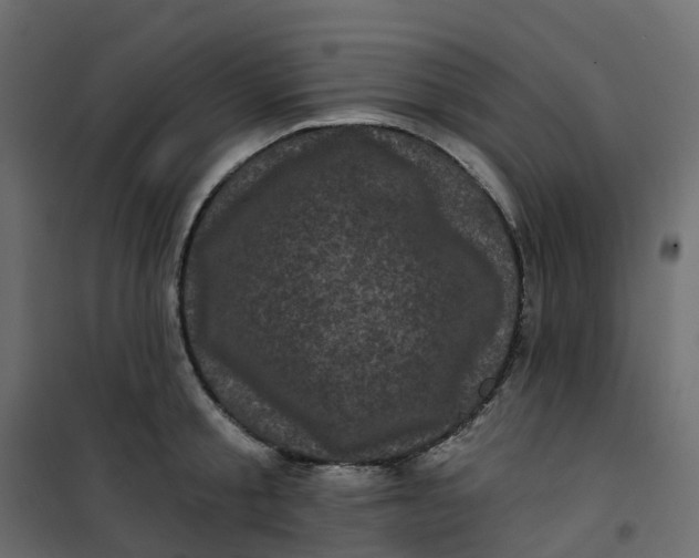 X0000101090805200807171846