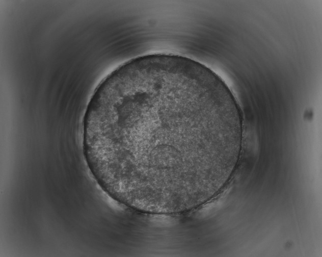 X0000101090807200807171846